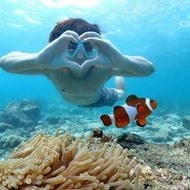 แชท ask, หญิง