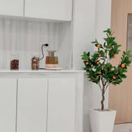 แชท ask, หญิง  ที่อยู่ กรุงเทพมหานคร