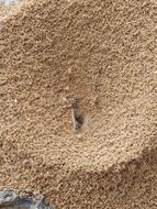 chat looking for friends 