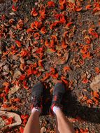 chat looking for friends 