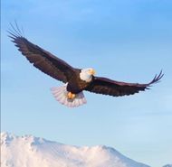 แชท หาเพื่อนคุย, หาเพื่อนเที่ยว 