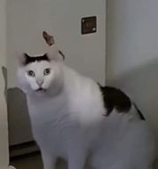 แชท หาเพื่อนคุย, หาเพื่อนเที่ยว 