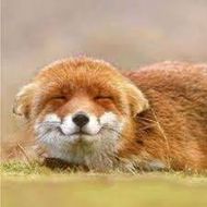 แชท หาเพื่อนคุย  ที่อยู่  นครปฐม