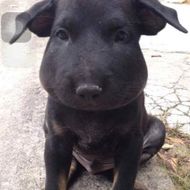 แชท หาแฟน, หาเพื่อนคุย 