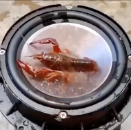แชท หาเพื่อนคุย, หาเพื่อนเที่ยว 