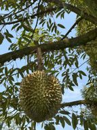 แชท หาแฟน, หาเพื่อนคุย  ที่อยู่  จันทบุรี