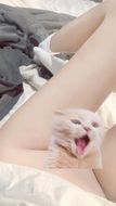 chat looking for friends 