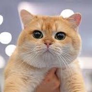 แชท หาเพื่อนคุย  ที่อยู่  สงขลา
