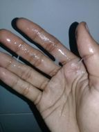 แชท แชทเปิดกล้อง 