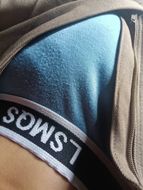 chat looking for friends 