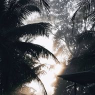 แชท หาเพื่อนคุย, โสด 