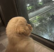 chat looking for friends 