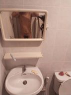 chat looking for friends 