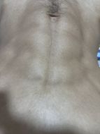 chat chat, find line friends  from Chachoengsao