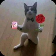 แชท หาเพื่อนคุย  ที่อยู่ กรุงเทพมหานคร