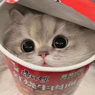 chat looking for friends 