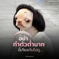 chat looking for friends 
