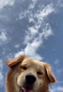 chat looking for friends 