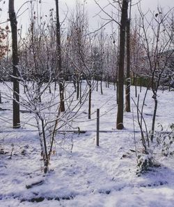 รูปภาพที่โพสต์โดย 🧸🌨️