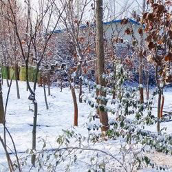 รูปภาพที่โพสต์โดย 🧸🌨️