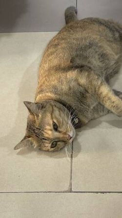 Image posted by 144p