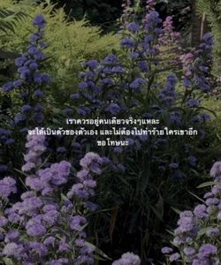 Image posted by หมาน้อยชอบกินชาเขียว🍵🧋