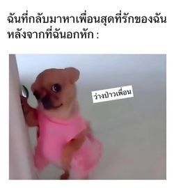 รูปภาพที่โพสต์โดย ไอต้าวคนน่ารัก