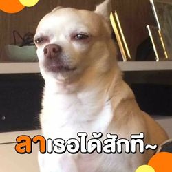 รูปภาพที่โพสต์โดย ไอต้าวคนน่ารัก