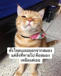 รูปภาพที่โพสต์โดย ไอต้าวคนน่ารัก