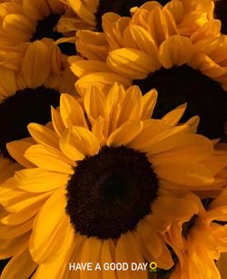 Image posted by 🌈☀️🌻💫