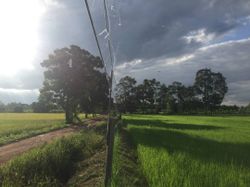 รูปภาพที่โพสต์โดย P 🌚 30Y
