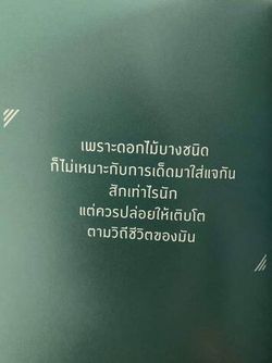 รูปภาพที่โพสต์โดย ʿℍ𝕖𝕝𝕝𝕠 𝔹𝕚𝕘𝕫𝕩 :(วันๆลงเเต่เพลง🦋)