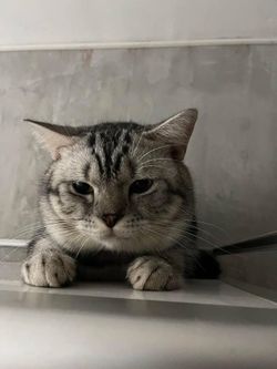 รูปภาพที่โพสต์โดย ✖︎