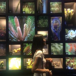รูปภาพที่โพสต์โดย babiblue