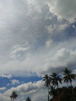 รูปภาพที่โพสต์โดย 🕊(ชอบผญ.)