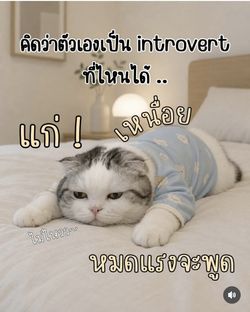 รูปภาพที่โพสต์โดย Han