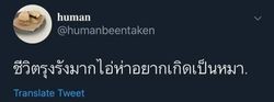 Image posted by 🌧️⛈️
