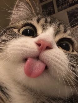 Image posted by ❥ನꪣᤎ❍ꪣ⁶⁹