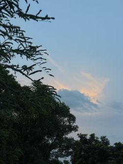 รูปภาพที่โพสต์โดย •