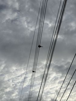 รูปภาพที่โพสต์โดย •