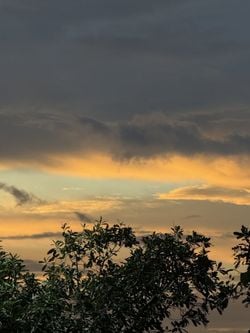 รูปภาพที่โพสต์โดย •