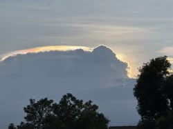 รูปภาพที่โพสต์โดย •