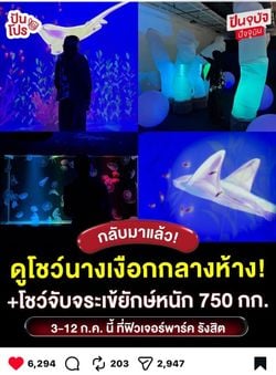 Image posted by 丽丽