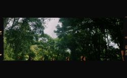 รูปภาพที่โพสต์โดย 🌳