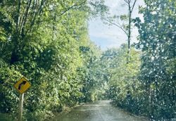 รูปภาพที่โพสต์โดย 🌳