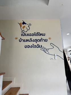 รูปภาพที่โพสต์โดย 🍀มะลิรักแมว🍀 หัวเข่าที่3