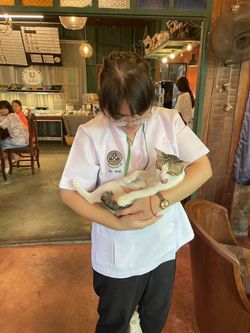 รูปภาพที่โพสต์โดย 🍀มะลิรักแมว🍀 หัวเข่าที่3