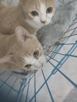 รูปภาพที่โพสต์โดย 𝙐𝙉𝙒𝙍𝙄𝙏𝙏𝙀𝙉.