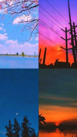 รูปภาพที่โพสต์โดย 𓆸