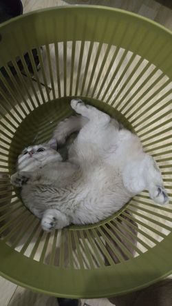 รูปภาพที่โพสต์โดย เหงาๆ ทักมานะ